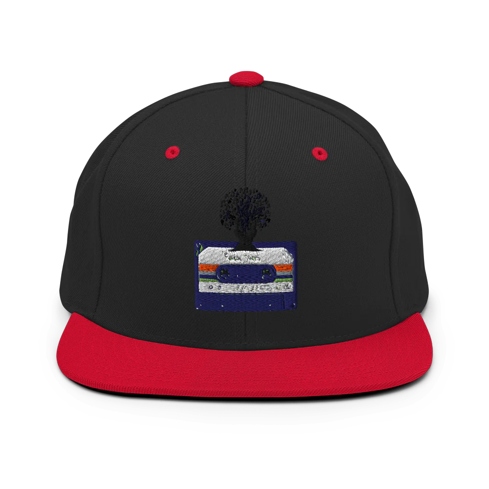 Funky Tunes Classic Snapback